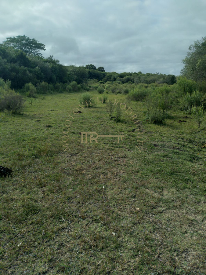 Chacra ID.3175 - Chacra de 8 has. en venta Pan de Azúcar. Maldonado.