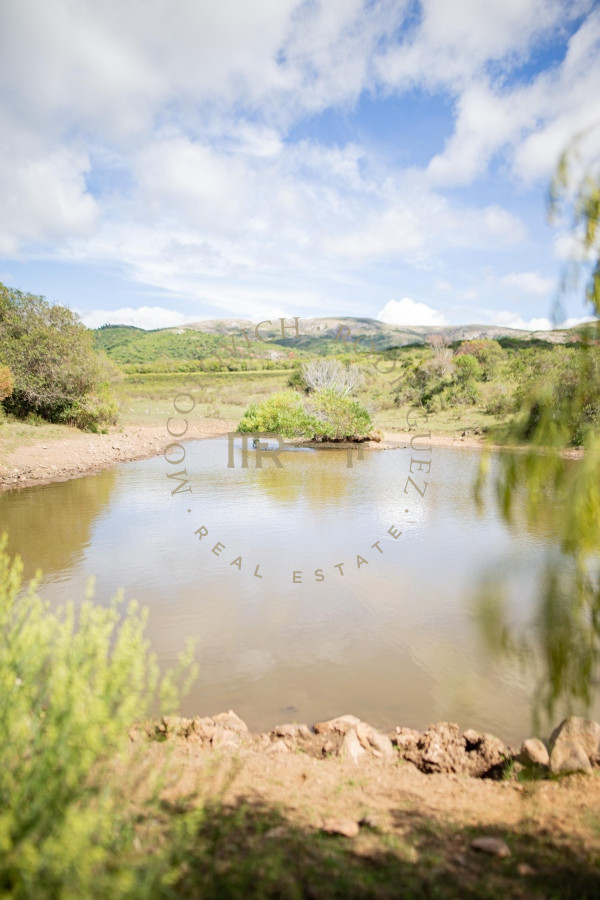 Chacra ID.2647 - Excelente campo  en Pan de Azucar 133 has