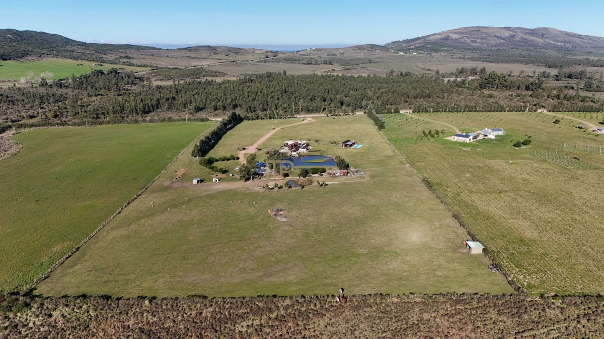 Chacra ID.2677 - Chacra en venta, 5 has. en  Cerro del Torro. Piriápolis. Permuta por apto en Montevideo o Punta del Este.