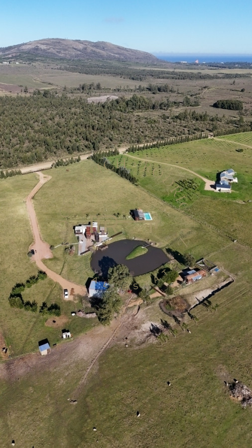 Chacra ID.2677 - Chacra en venta, 5 has. en  Cerro del Torro. Piriápolis. Permuta por apto en Montevideo o Punta del Este.