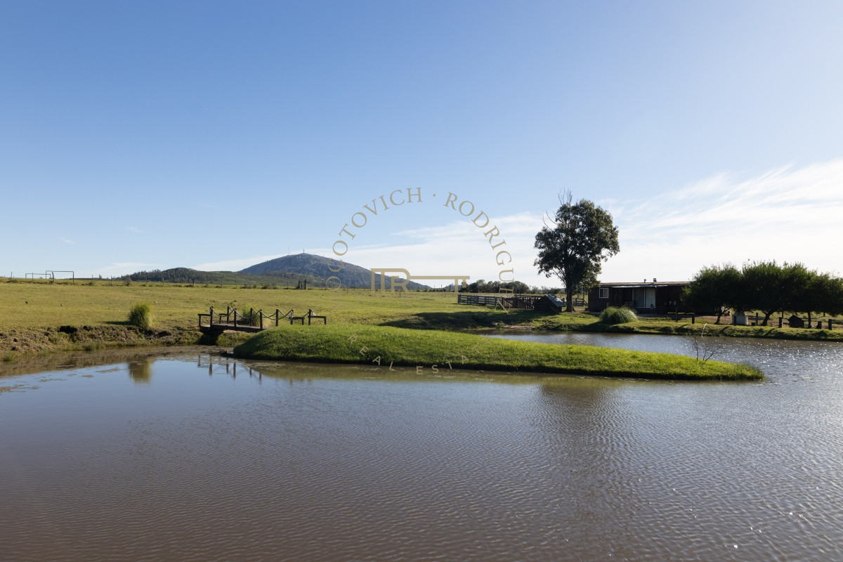 Chacra ID.2677 - Chacra en venta, 5 has. en  Cerro del Torro. Piriápolis. Permuta por apto en Montevideo o Punta del Este.