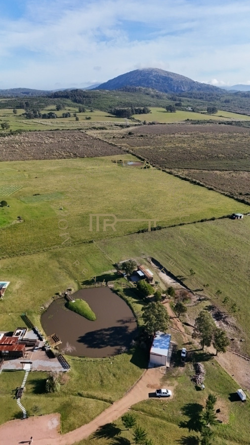 Chacra ID.2677 - Chacra en venta, 5 has. en  Cerro del Torro. Piriápolis. Permuta por apto en Montevideo o Punta del Este.