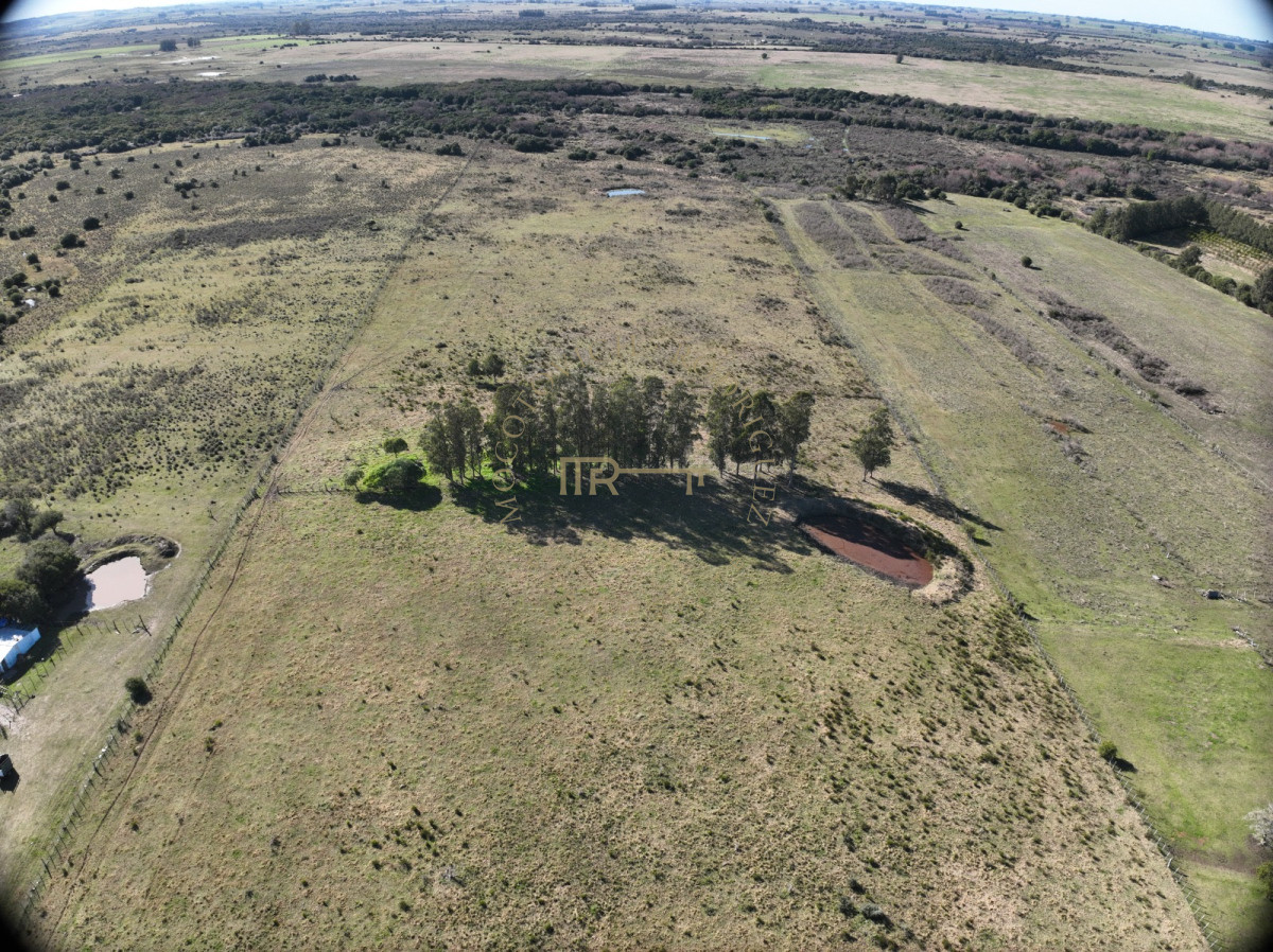 Campo Ref.3855 - Campo en venta de19 hectáreas a pocos minutos de San Carlos.