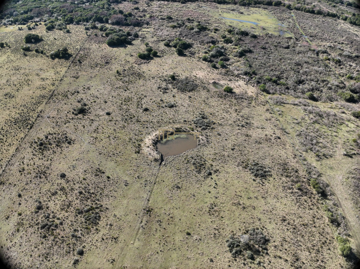 Campo Ref.3855 - Campo en venta de19 hectáreas a pocos minutos de San Carlos.