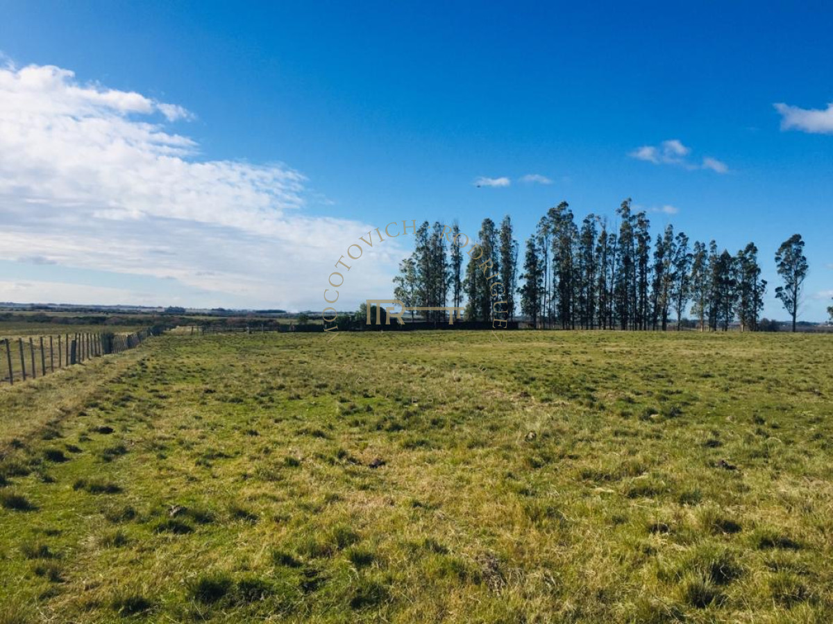 Campo Ref.3855 - Campo en venta de19 hectáreas a pocos minutos de San Carlos.