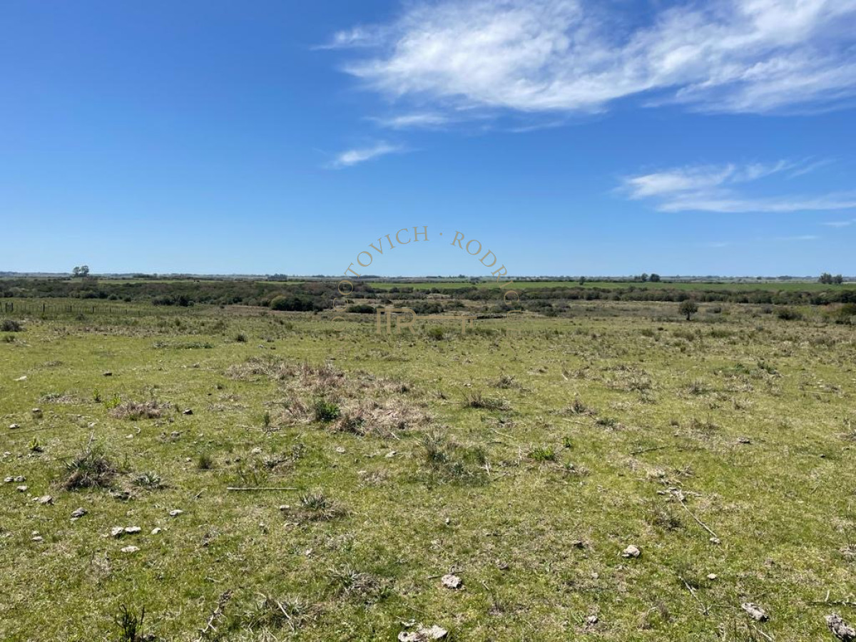 Campo Ref.3855 - Campo en venta de19 hectáreas a pocos minutos de San Carlos.