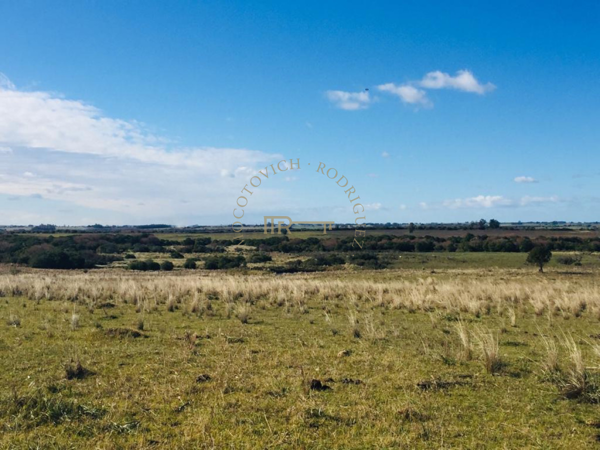 Campo Ref.3855 - Campo en venta de19 hectáreas a pocos minutos de San Carlos.