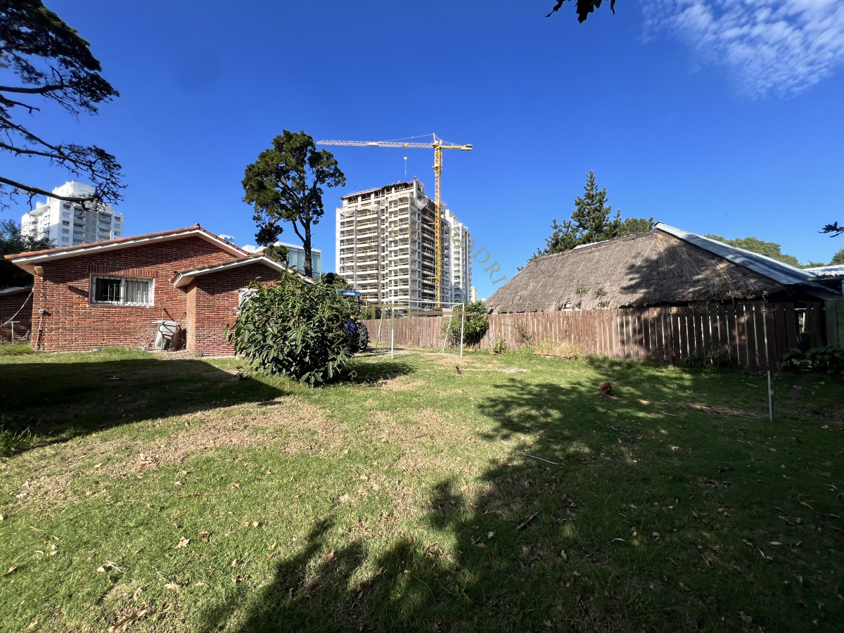 Local Comercial ID.3504 - Local comercial en zona de Punta Shoping . Punta del Este. 