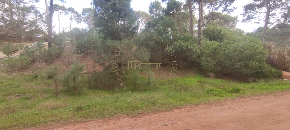 Terreno ID.1711 - En venta terreno Club del Lago 