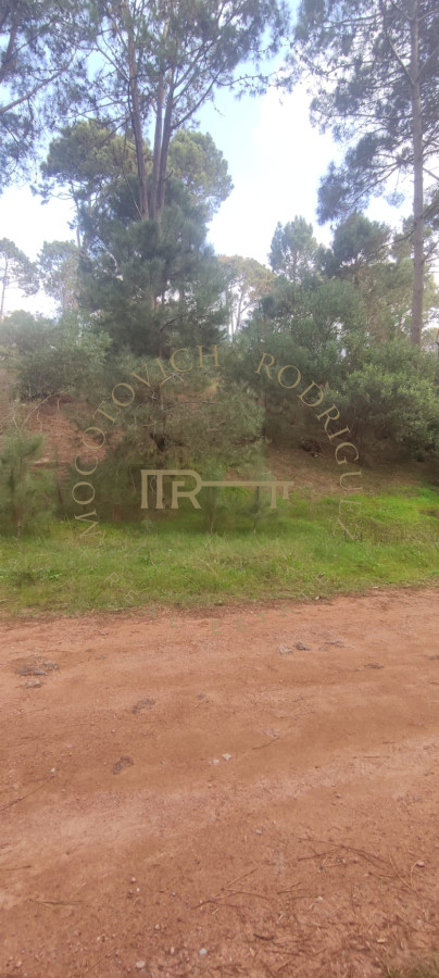Terreno ID.1711 - En venta terreno Club del Lago 