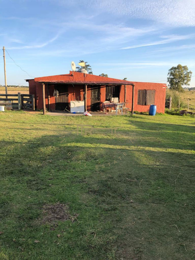 Terreno ID.439 - Terreno - José Ignacio