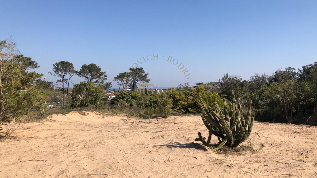 Terreno ID.454 - Terreno en venta  - La Barra