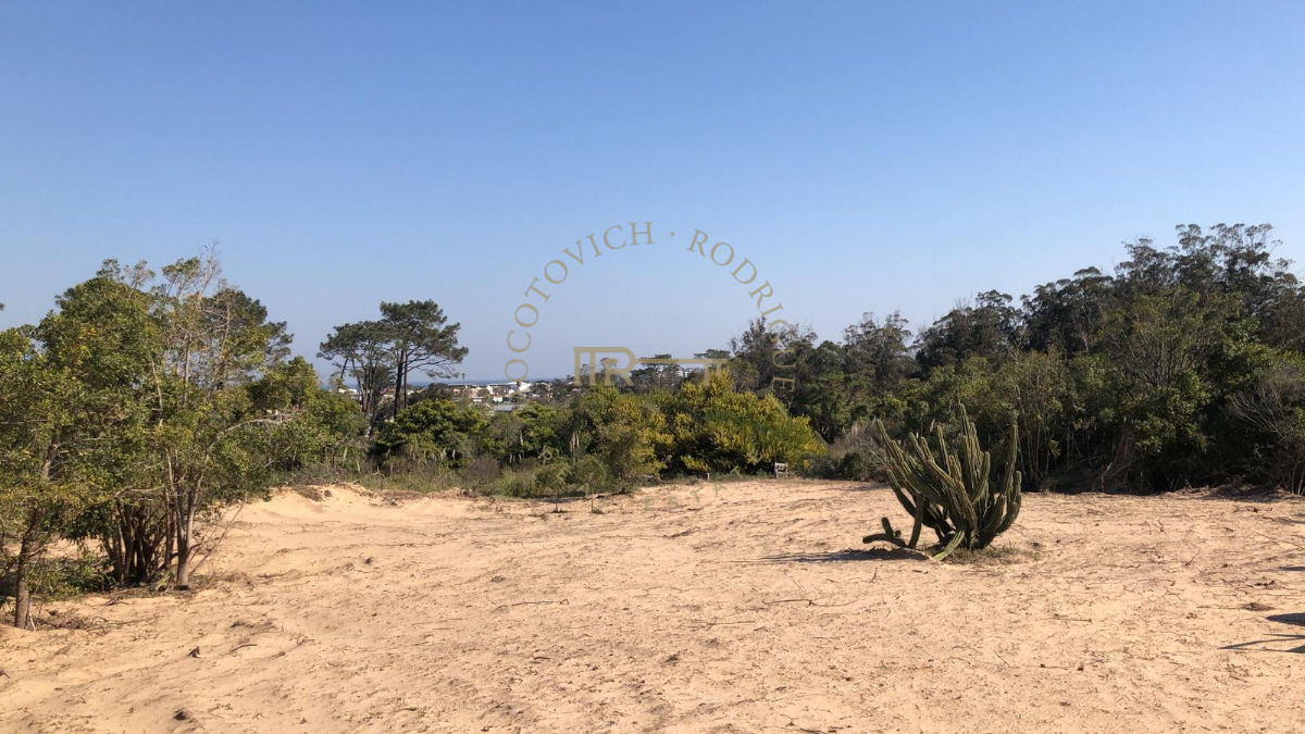 Terreno ID.454 - Terreno en venta  - La Barra