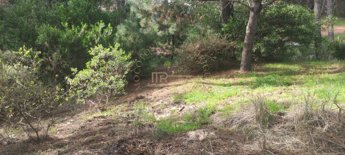 Terreno ID.1711 - En venta terreno Club del Lago 