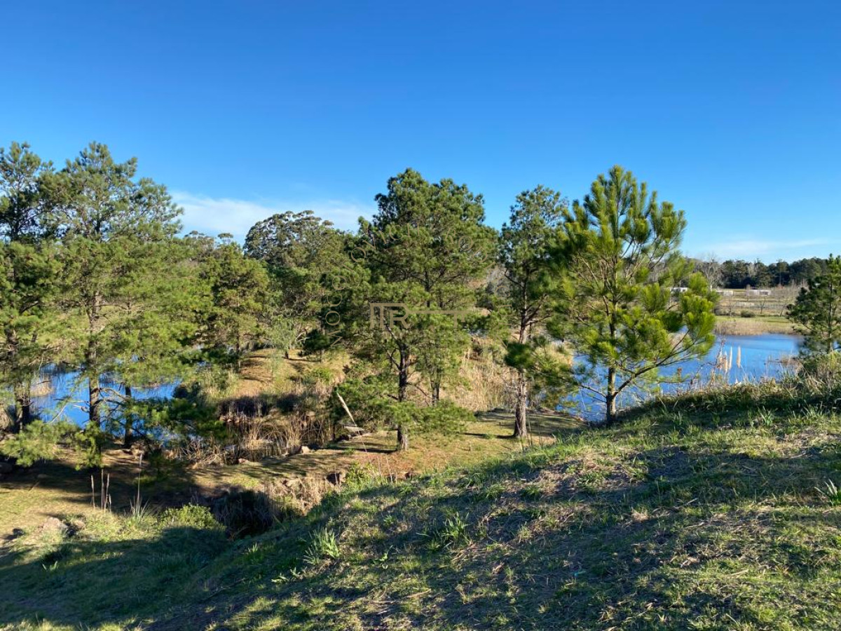 Terreno ID.3789 - Lote de 1000m2 en chacras del Pinar