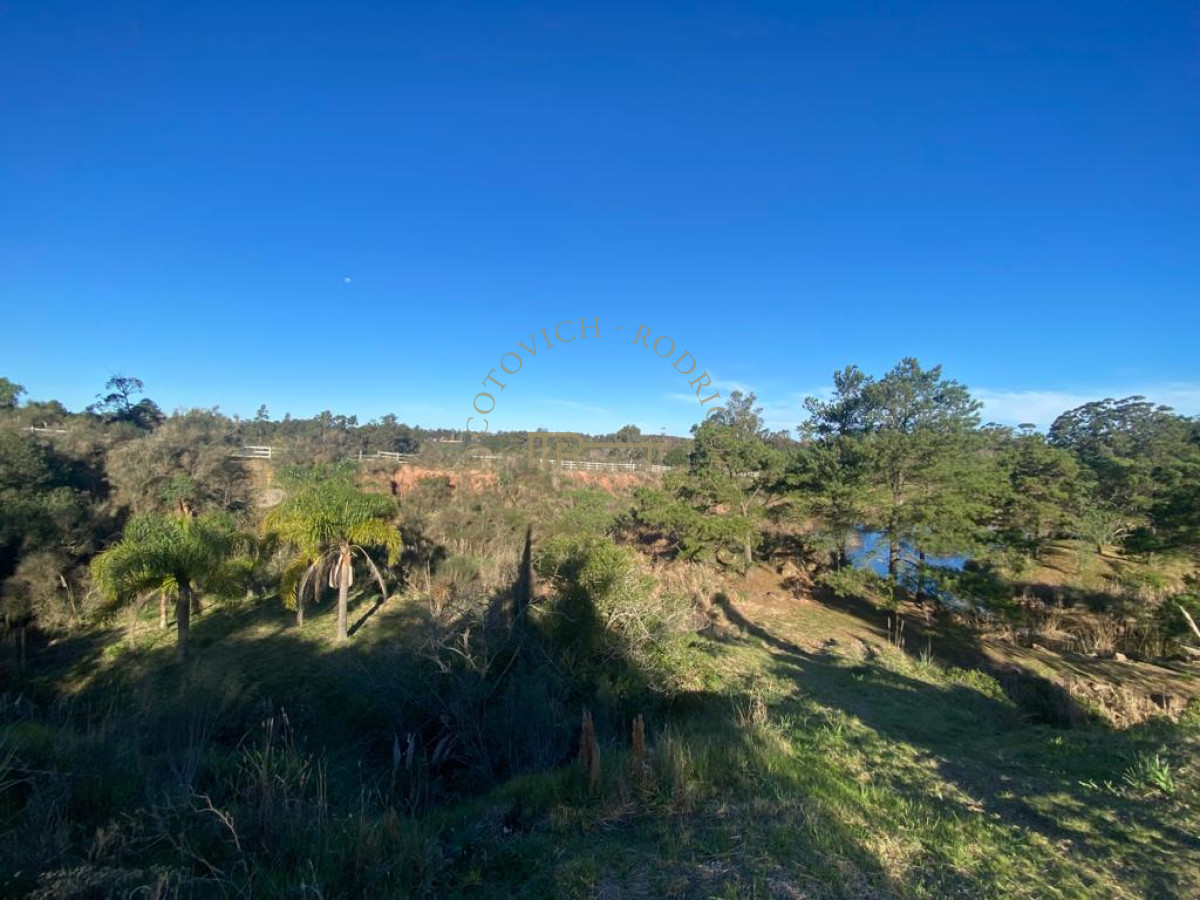 Terreno ID.3789 - Lote de 1000m2 en chacras del Pinar