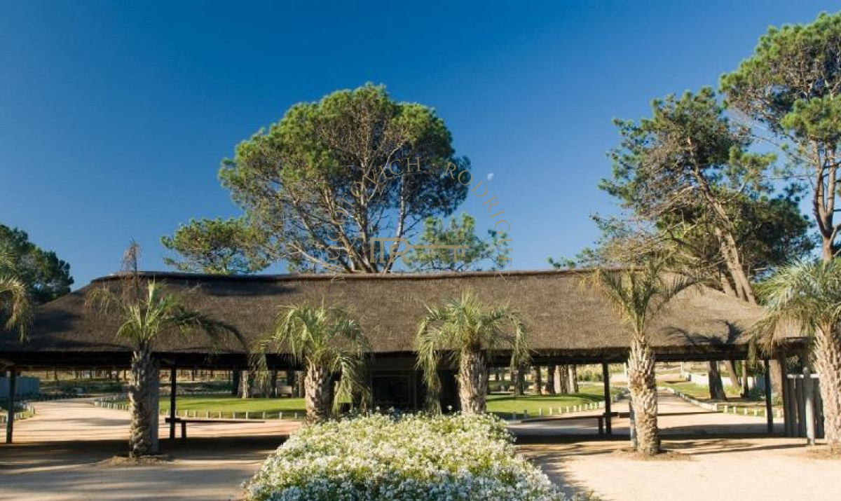 Terreno ID.2565 - Pinar del Faro, lote en venta. José Ignacio barrio privado. 