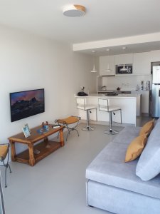 Alquiler Apto 1 Dormitorio Frente Al Mar Playa Mansa, Punta del Este 