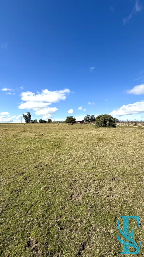 Chacra ID.934 - Chacra Campo 5 Hectareas con Casa en Jose Ignacio a 10 Minutos de la Laguna Jose Ignacio 