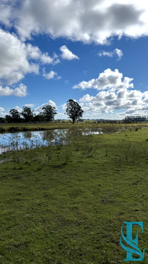 Chacra ID.934 - Chacra Campo 5 Hectareas con Casa en Jose Ignacio a 10 Minutos de la Laguna Jose Ignacio 