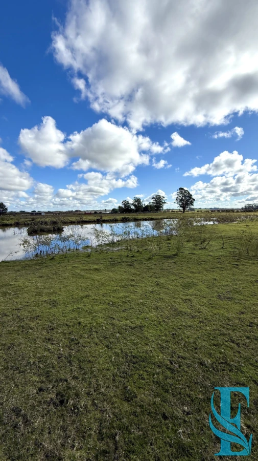 Chacra ID.934 - Chacra Campo 5 Hectareas con Casa en Jose Ignacio a 10 Minutos de la Laguna Jose Ignacio 