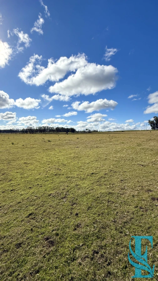 Chacra ID.934 - Chacra Campo 5 Hectareas con Casa en Jose Ignacio a 10 Minutos de la Laguna Jose Ignacio 