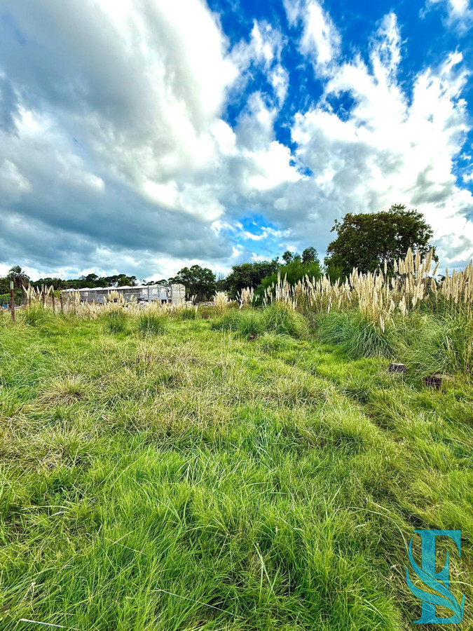 Terreno ID.644 - Venta Terreno Fraccionamiento 4H 316M2 Excelente Entorno  