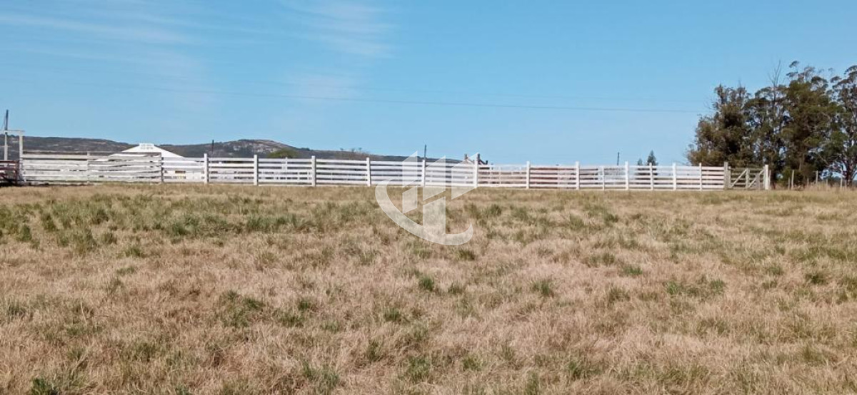 Chacra ID.299 - Chacra, venta, 7,5 has con casco, Ruta 39, Maldonado