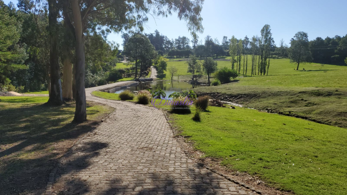 Chacra ID.552 - chacra en ruta 12 con vista a la laguna