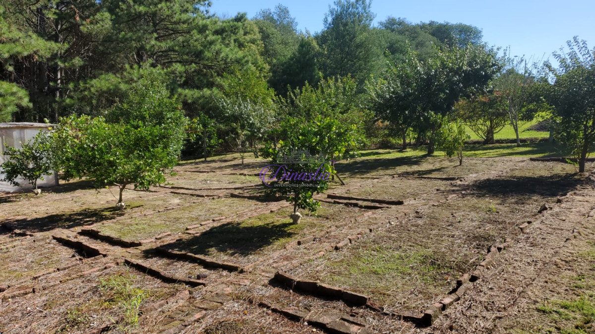 Chacra ID.552 - chacra en ruta 12 con vista a la laguna