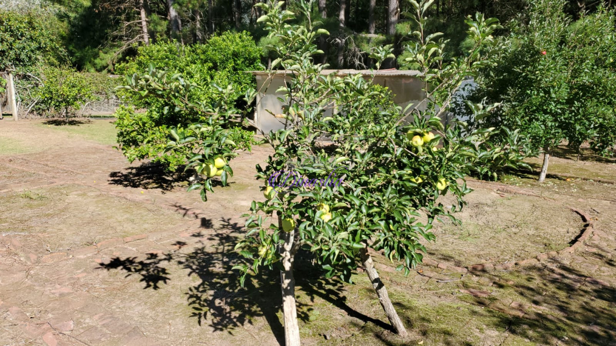 Chacra ID.552 - chacra en ruta 12 con vista a la laguna