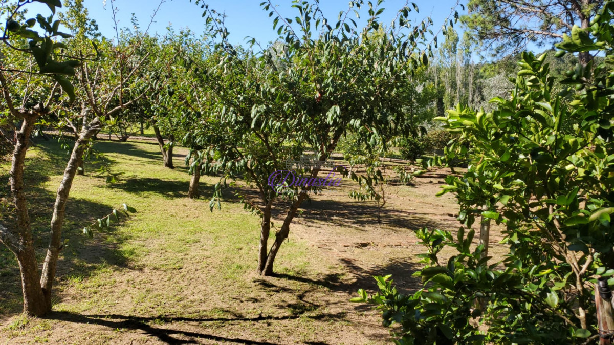 Chacra ID.552 - chacra en ruta 12 con vista a la laguna