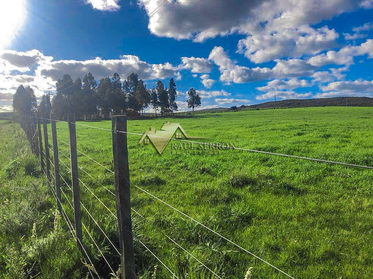 Chacra ID.1019 - Chacra - Garzon
