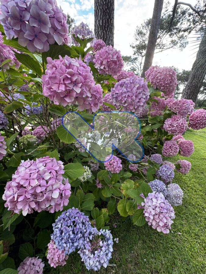 Apartamento ID.202 - Alquiler temporal Punta del Este Playa Mansa | 2 Dormitorios, 2 baños. Complejo Full Amenities - Enero 2026