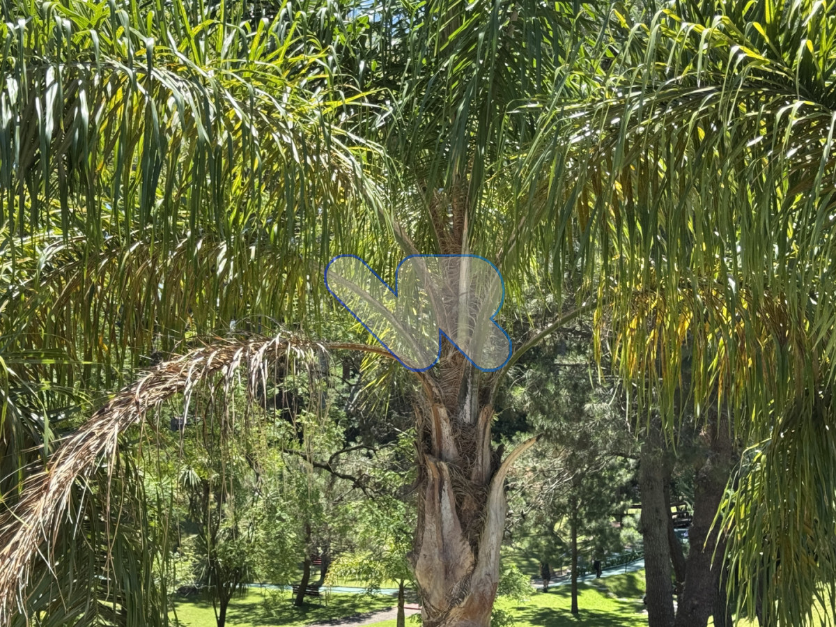 Apartamento ID.202 - Alquiler temporal Punta del Este Playa Mansa | 2 Dormitorios, 2 baños. Complejo Full Amenities - Enero 2026