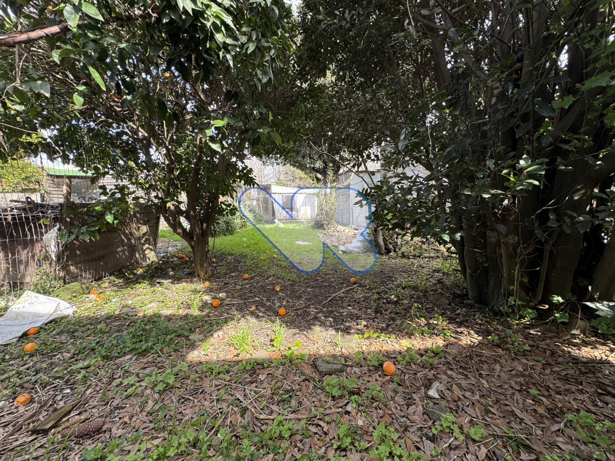 Casa ID.156 - OPORTUNIDAD VENTA! VENDO CASA 2 DORMS  MALDONADO PARA RECICLAR