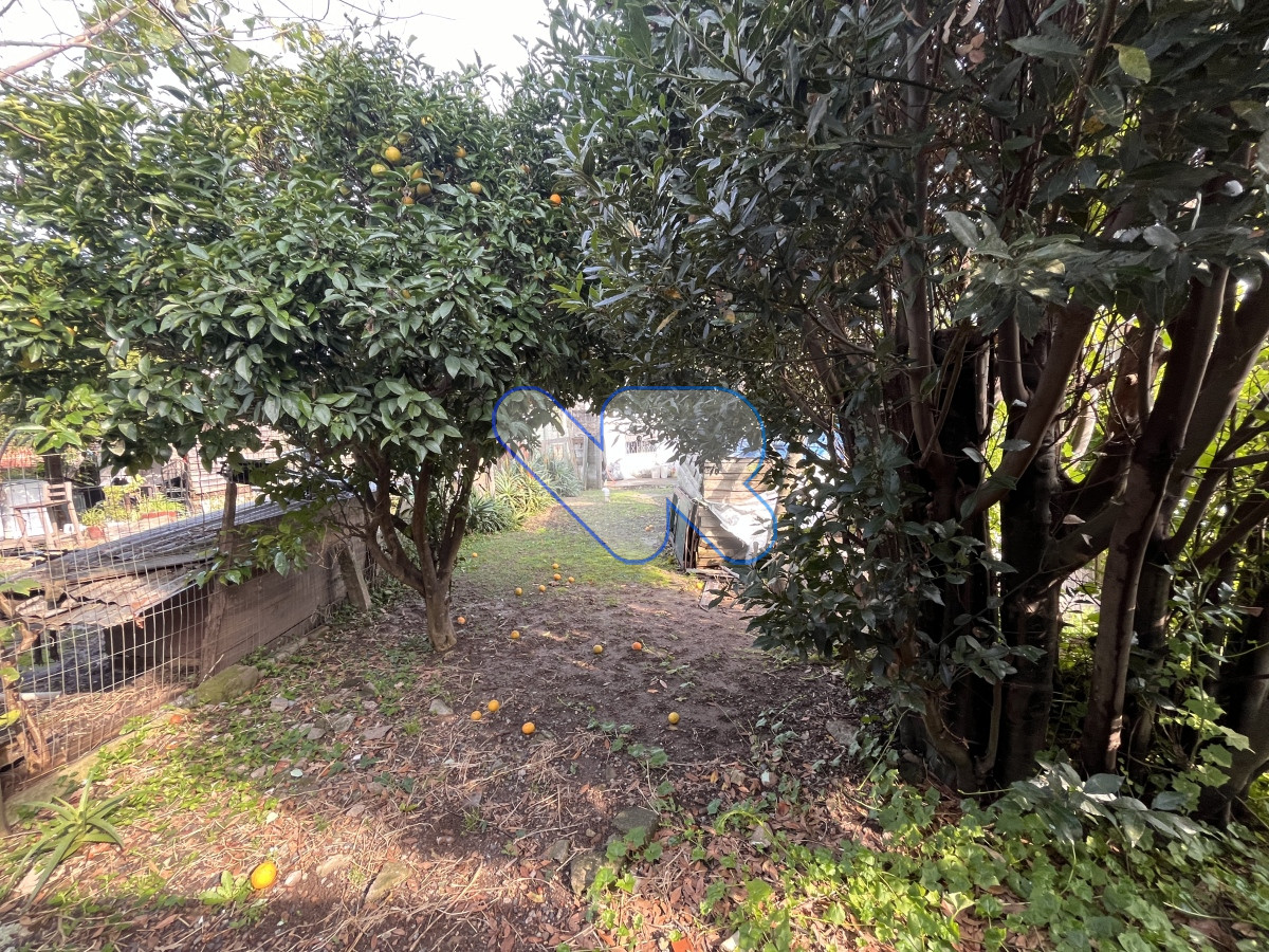 Casa ID.156 - OPORTUNIDAD! VENTA CASA 2 DORMS  MALDONADO 
