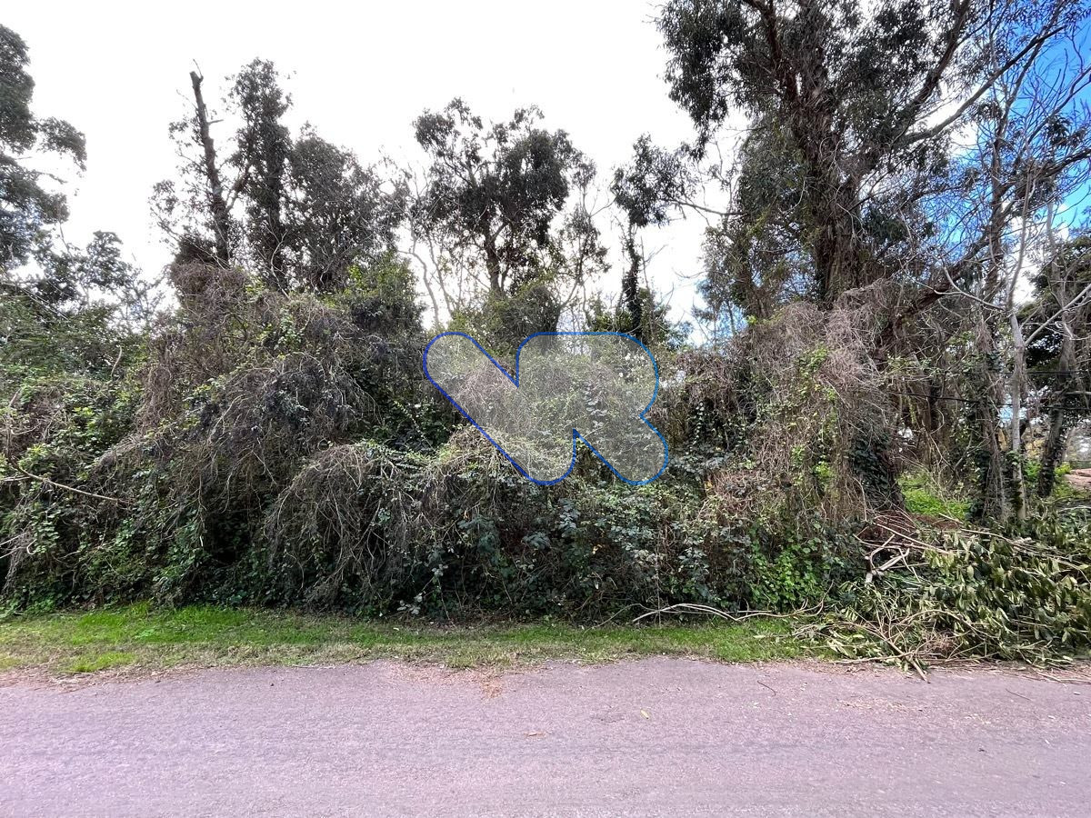 Terreno ID.8 - Vendo Excelente Terreno En Barrio Golf