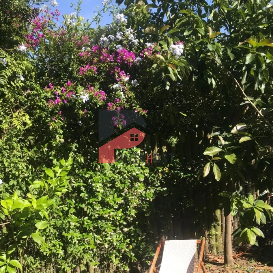 Casa ID.528 - Alquiler temporal casa en Pinares con piscina a 100 mts del mar