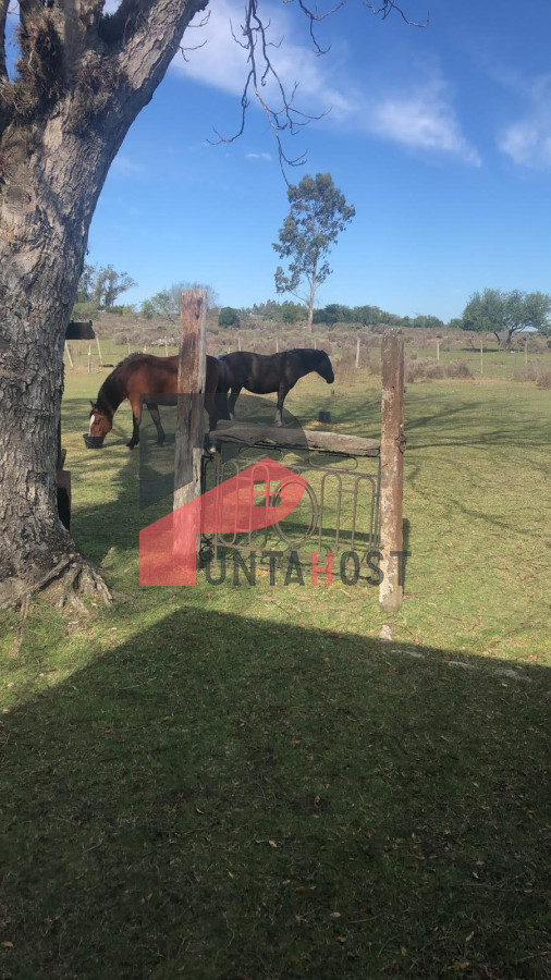 Chacra ID.515 - Venta o Permuta - Chacra de 9há con casa
