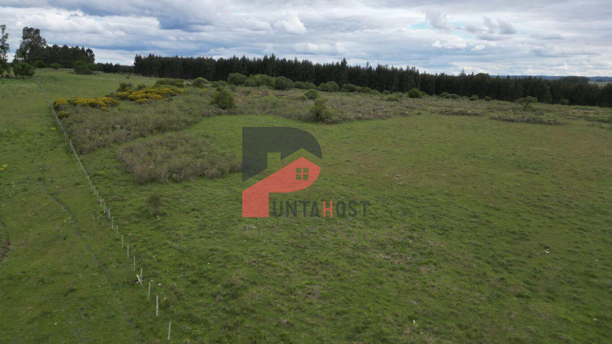 Chacra ID.515 - Venta o Permuta - Chacra de 9há con casa