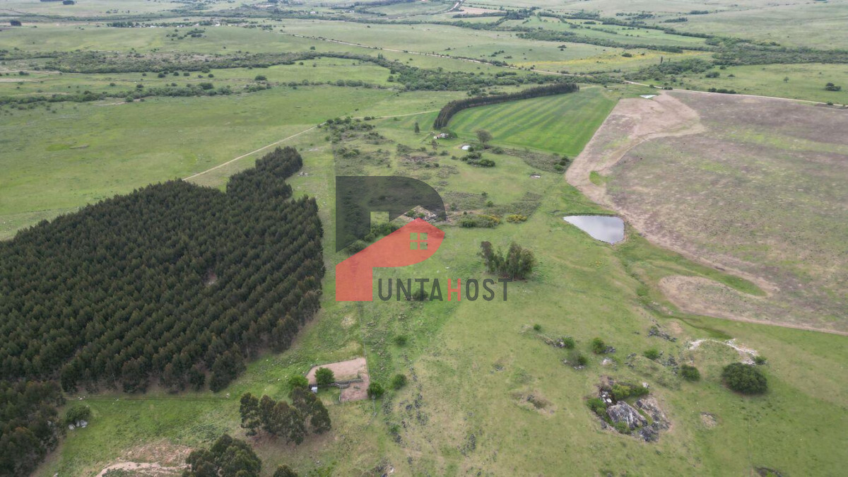 Chacra ID.515 - Venta o Permuta - Chacra de 9há con casa