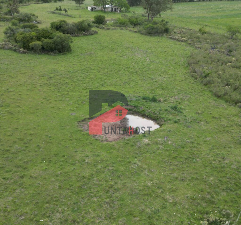 Chacra ID.515 - Venta o Permuta - Chacra de 9há con casa