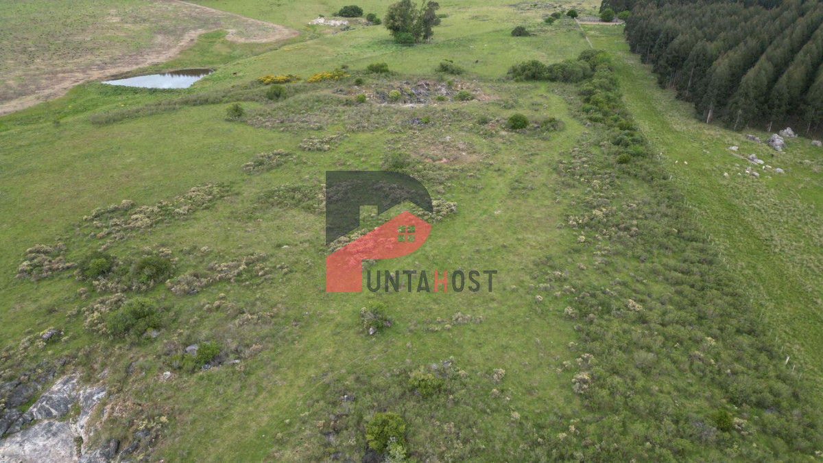 Chacra ID.515 - Venta o Permuta - Chacra de 9há con casa