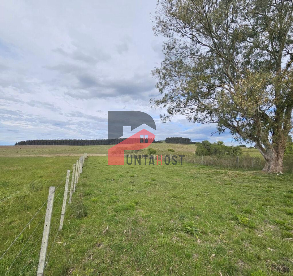 Chacra ID.515 - Venta o Permuta - Chacra de 9há con casa