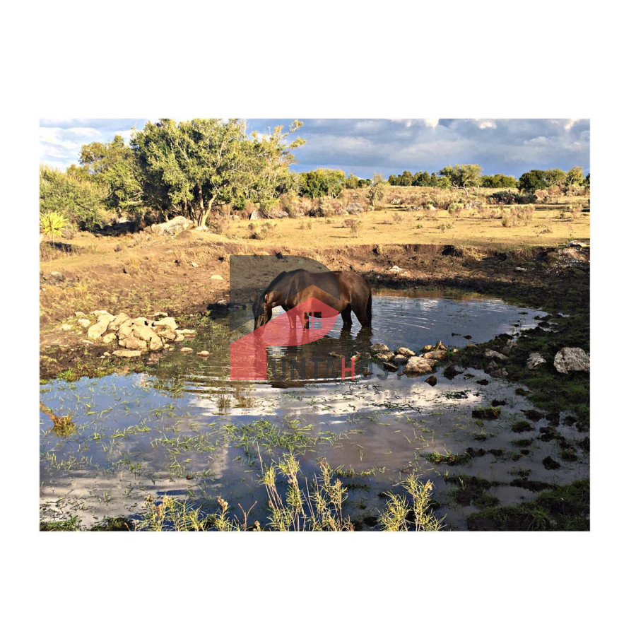 Chacra ID.515 - Venta o Permuta - Chacra de 9há con casa