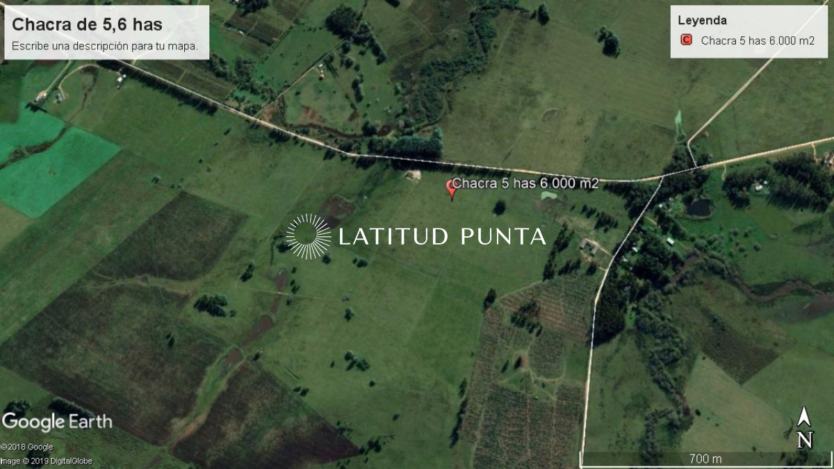 Ruta 104 - GoPunta - Portal Inmobiliario de Punta del Este - Maldonado