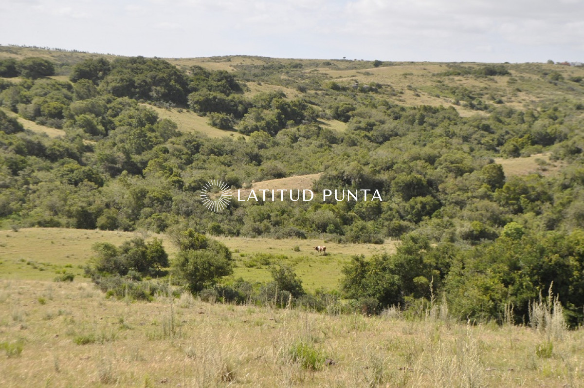 Garzon - GoPunta - Portal Inmobiliario de Punta del Este - Maldonado