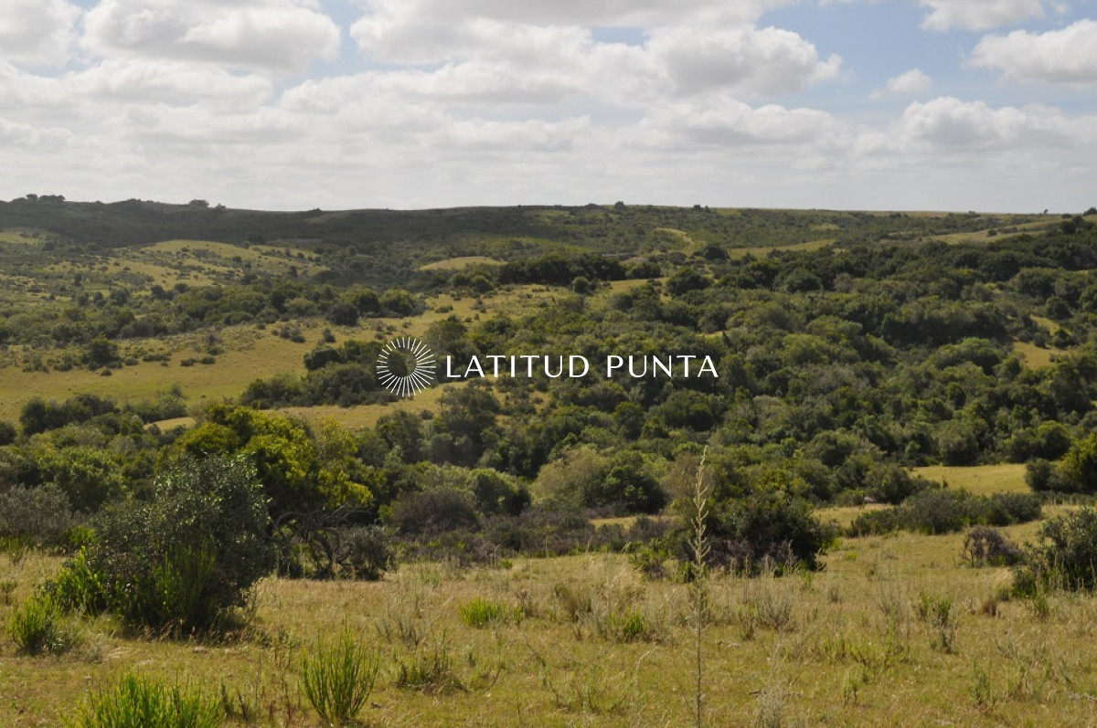 Garzon - GoPunta - Portal Inmobiliario de Punta del Este - Maldonado