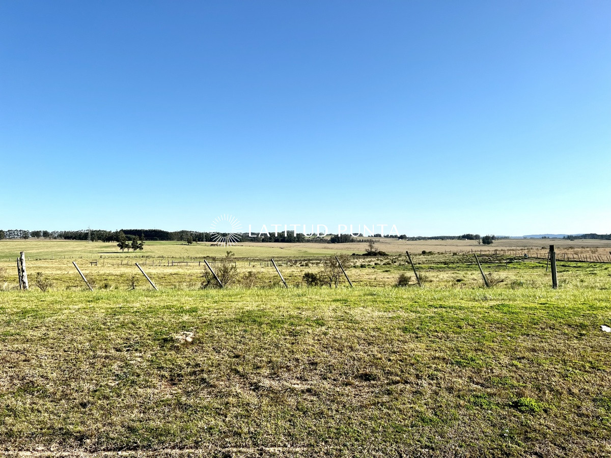 Ruta 104 - GoPunta - Portal Inmobiliario de Punta del Este - Maldonado